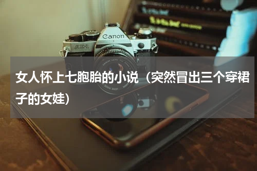 女人怀上七胞胎的小说（突然冒出三个穿裙子的女娃）