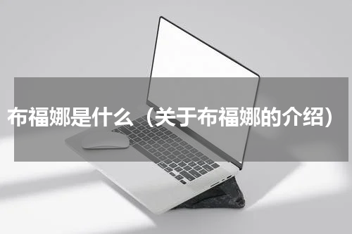 布福娜是什么（关于布福娜的介绍）