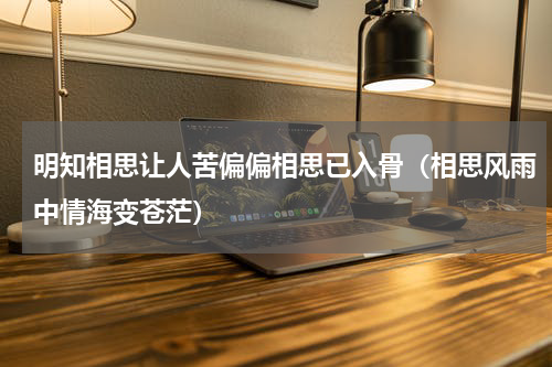 明知相思让人苦偏偏相思已入骨（相思风雨中情海变苍茫）