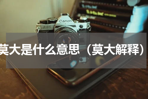 莫大是什么意思（莫大解释）