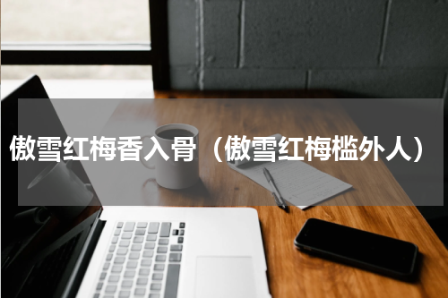 傲雪红梅香入骨（傲雪红梅槛外人）