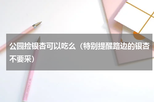 公园捡银杏可以吃么（特别提醒路边的银杏不要采）