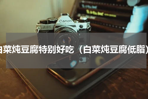 白菜炖豆腐特别好吃（白菜炖豆腐低脂）