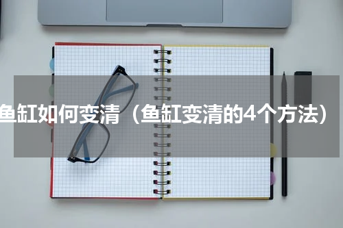 鱼缸如何变清（鱼缸变清的4个方法）