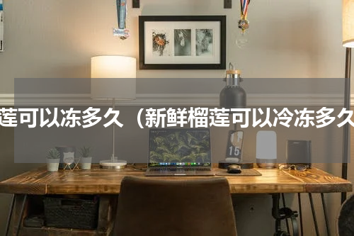 榴莲可以冻多久（新鲜榴莲可以冷冻多久）