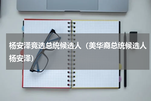 杨安泽竞选总统候选人（美华裔总统候选人杨安泽）