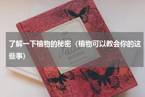 了解一下植物的秘密（植物可以教会你的这些事）