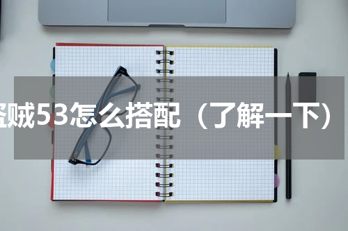 盗贼53怎么搭配（了解一下）