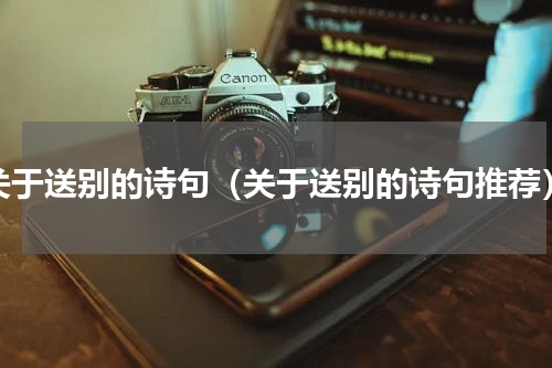 关于送别的诗句（关于送别的诗句推荐）