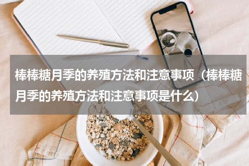 棒棒糖月季的养殖方法和注意事项（棒棒糖月季的养殖方法和注意事项是什么）