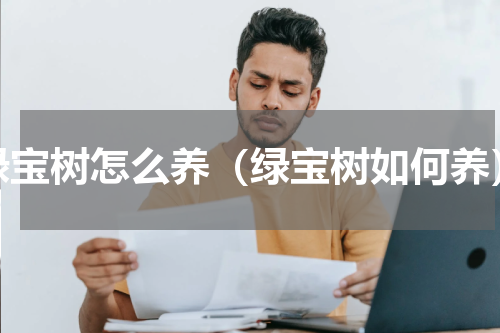 绿宝树怎么养（绿宝树如何养）