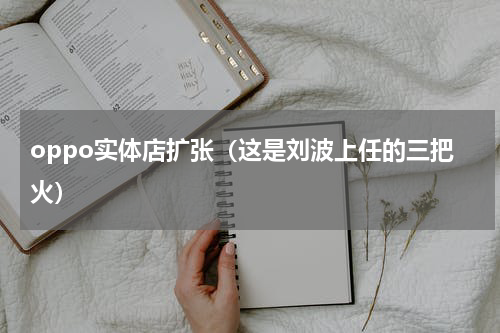 oppo实体店扩张（这是刘波上任的三把火）