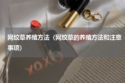 网纹草养殖方法（网纹草的养殖方法和注意事项）