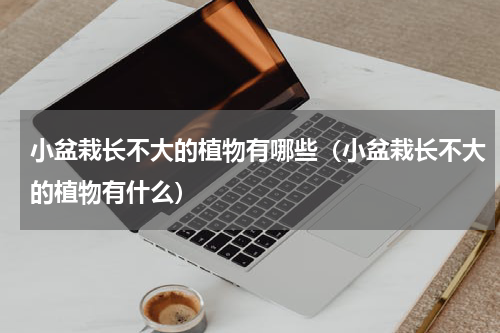小盆栽长不大的植物有哪些（小盆栽长不大的植物有什么）