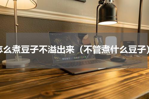 怎么煮豆子不溢出来（不管煮什么豆子）