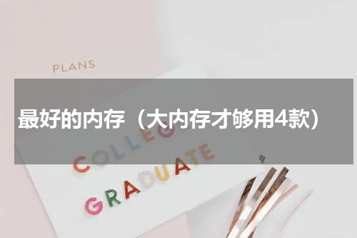 最好的内存（大内存才够用4款）