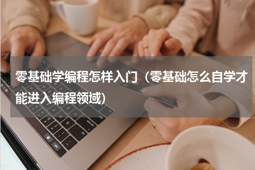 零基础学编程怎样入门（零基础怎么自学才能进入编程领域）