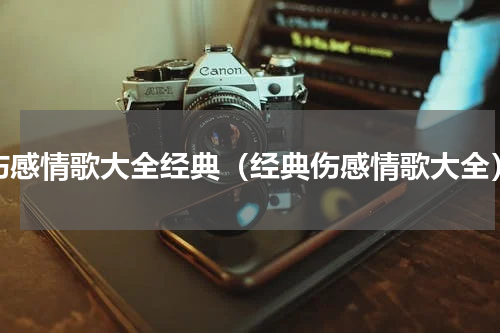 伤感情歌大全经典（经典伤感情歌大全）