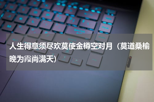 人生得意须尽欢莫使金樽空对月（莫道桑榆晚为霞尚满天）