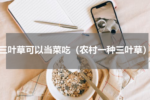 三叶草可以当菜吃（农村一种三叶草）