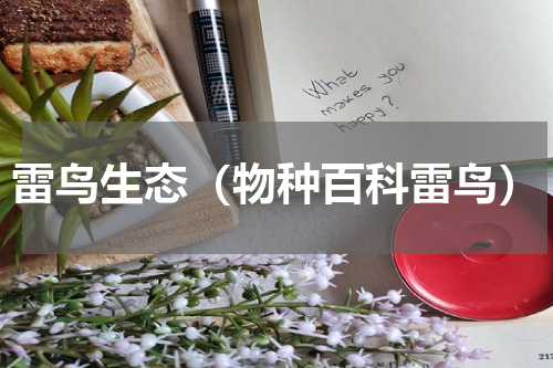 雷鸟生态（物种百科雷鸟）