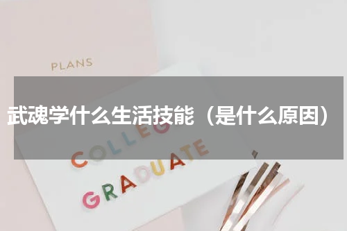 武魂学什么生活技能（是什么原因）