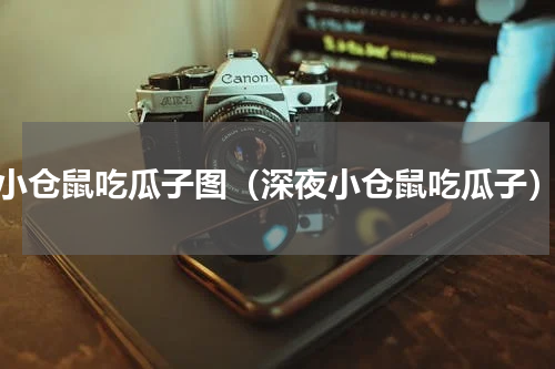 小仓鼠吃瓜子图（深夜小仓鼠吃瓜子）