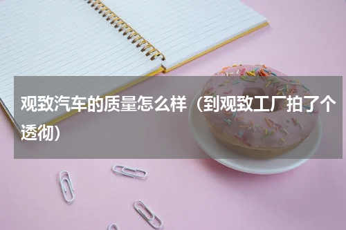 观致汽车的质量怎么样（到观致工厂拍了个透彻）