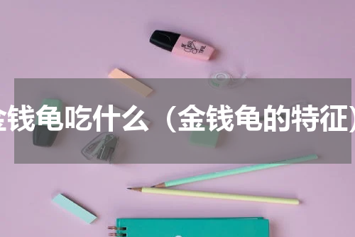 金钱龟吃什么（金钱龟的特征）