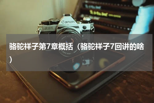 骆驼祥子第7章概括（骆驼祥子7回讲的啥）