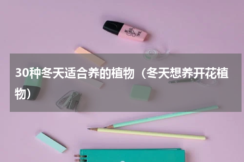30种冬天适合养的植物（冬天想养开花植物）