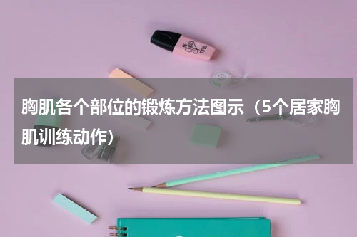 胸肌各个部位的锻炼方法图示（5个居家胸肌训练动作）