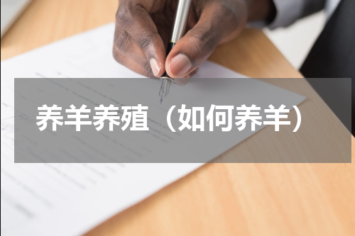 养羊养殖（如何养羊）