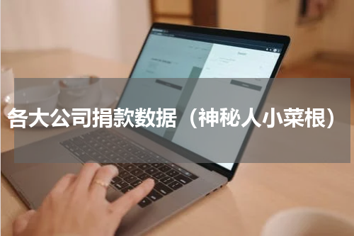 各大公司捐款数据（神秘人小菜根）