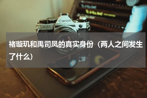 褚璇玑和禹司凤的真实身份（两人之间发生了什么）