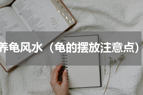 养龟风水（龟的摆放注意点）