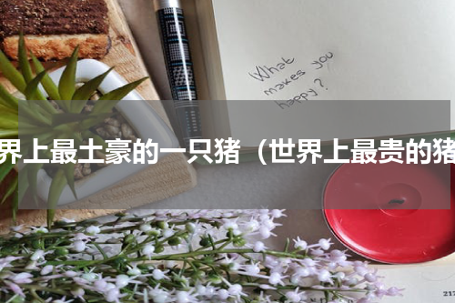 世界上最土豪的一只猪（世界上最贵的猪）