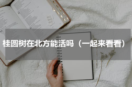 桂圆树在北方能活吗（一起来看看）