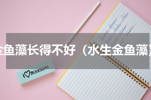 金鱼藻长得不好（水生金鱼藻）