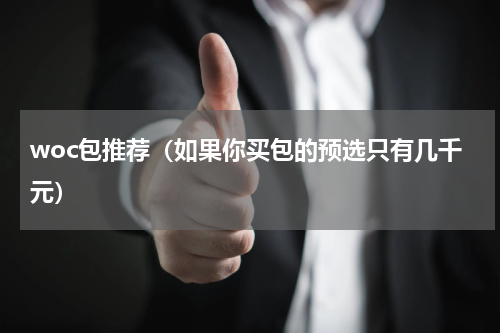woc包推荐（如果你买包的预选只有几千元）