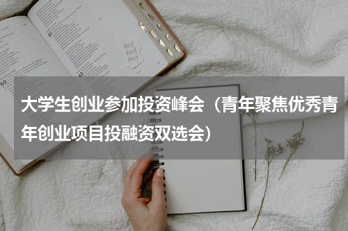 大学生创业参加投资峰会（青年聚焦优秀青年创业项目投融资双选会）