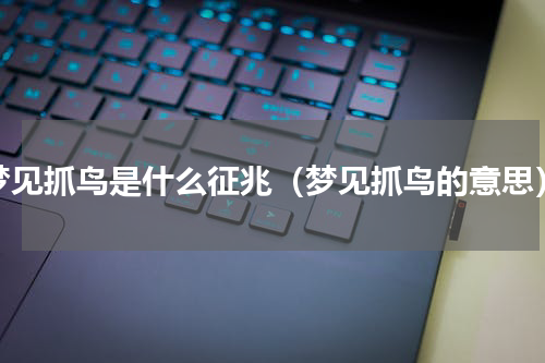 梦见抓鸟是什么征兆（梦见抓鸟的意思）