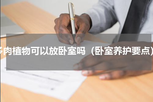 多肉植物可以放卧室吗（卧室养护要点）