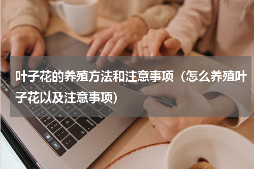 叶子花的养殖方法和注意事项（怎么养殖叶子花以及注意事项）