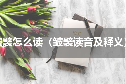 皱襞怎么读（皱襞读音及释义）