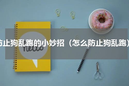 防止狗乱跑的小妙招（怎么防止狗乱跑）