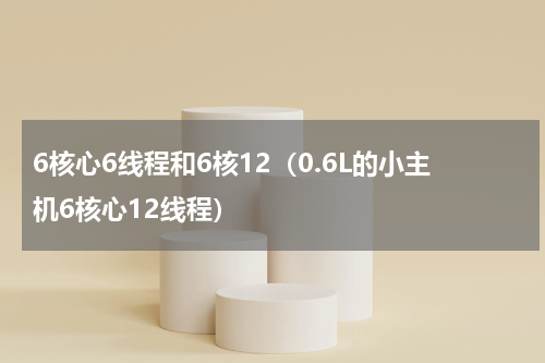 6核心6线程和6核12（0.6L的小主机6核心12线程）