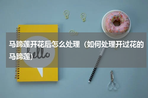 马蹄莲开花后怎么处理（如何处理开过花的马蹄莲）