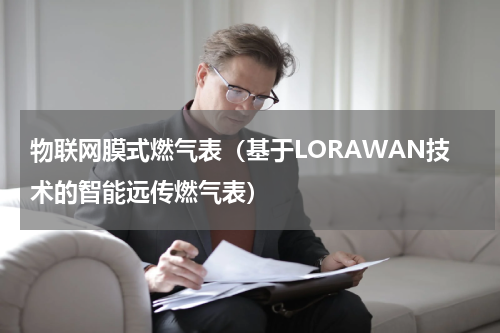 物联网膜式燃气表（基于LORAWAN技术的智能远传燃气表）