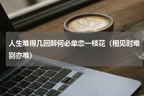 人生难得几回醉何必单恋一枝花（相见时难别亦难）